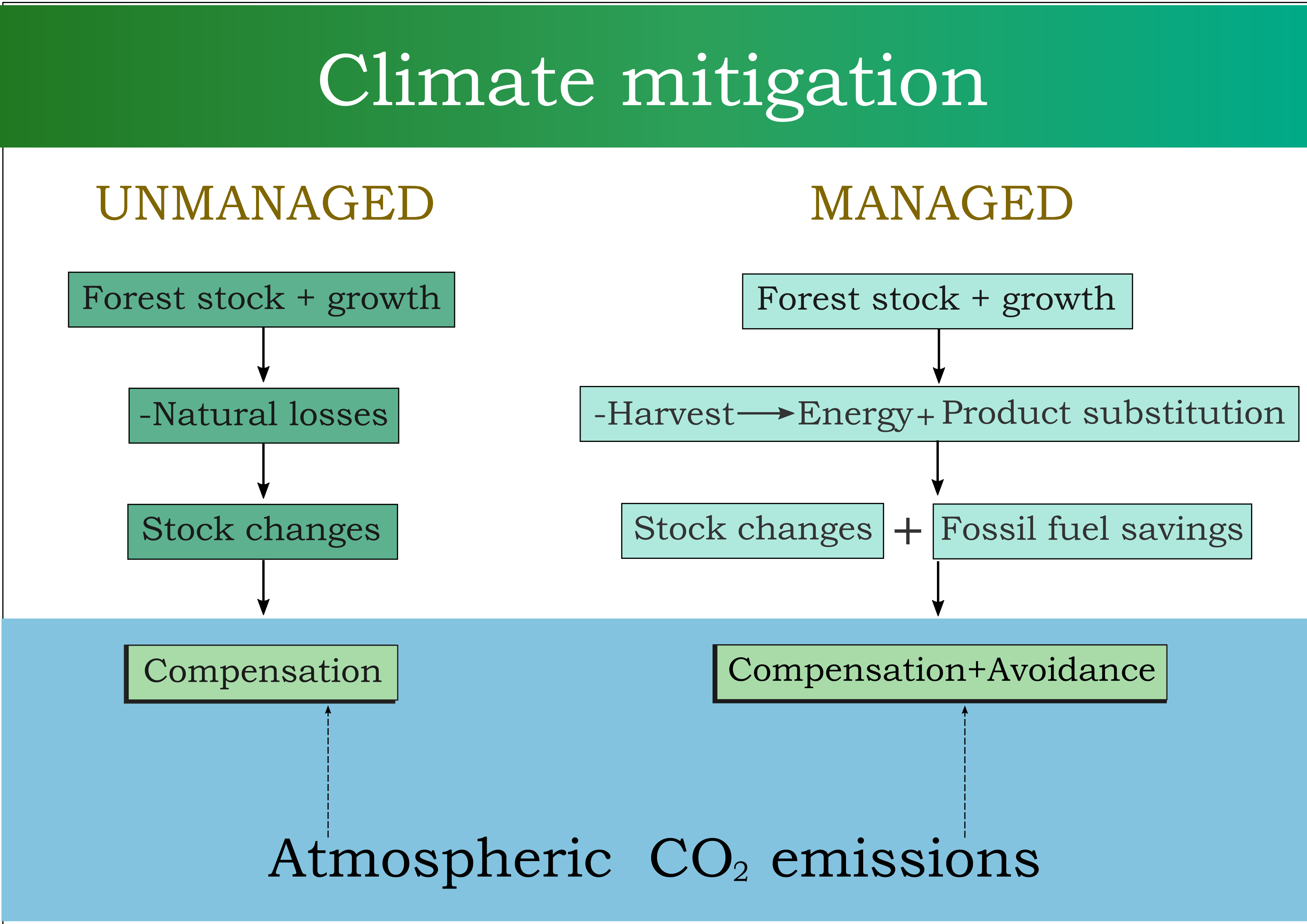 Manejo Forestal y Mitigación del Cambio Climático